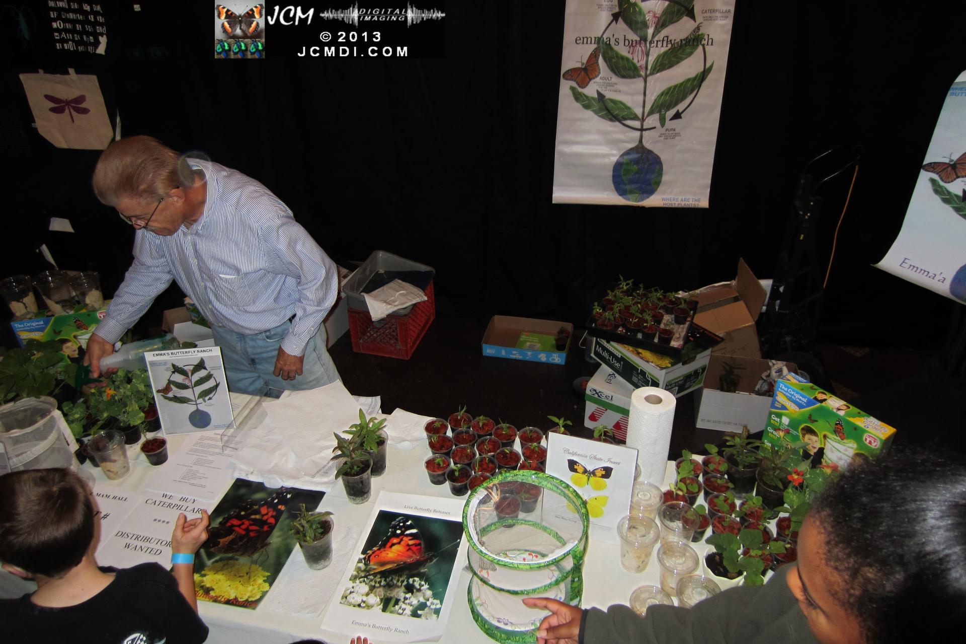 LANHM Bug Fair 2013 crowds and displays